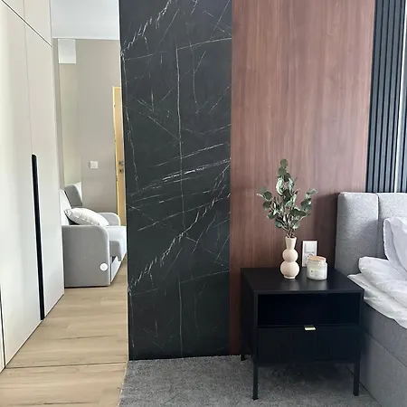 Apartment Aurum Ul Cicha 16 5a Bezplatny Parking Krynica Zdroj